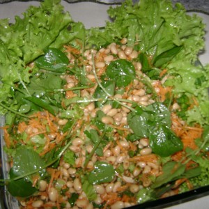 salada-de-soja